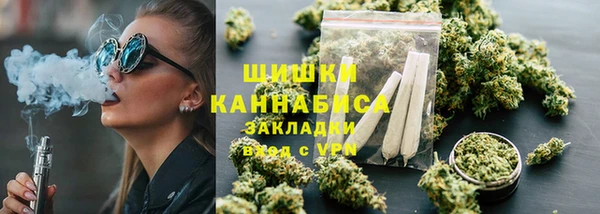 сатива Абинск